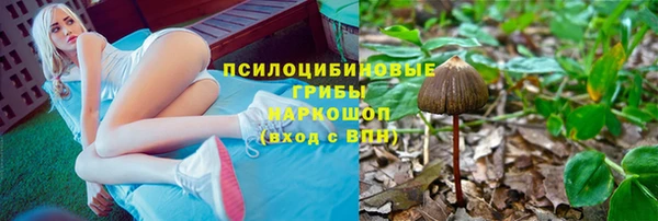 ГАЛЛЮЦИНОГЕННЫЕ ГРИБЫ Абдулино